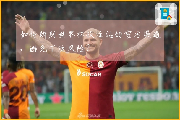 如何辨别世界杯投注站的官方渠道，避免下注风险？