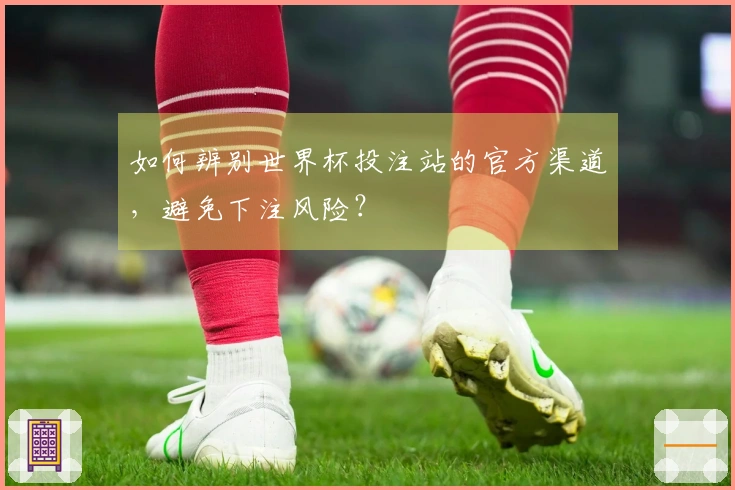 如何辨别世界杯投注站的官方渠道，避免下注风险？
